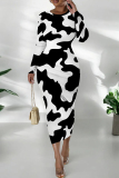 Orange Graphcis Print O Neck Long Sleeve Long Casual Outing Bodycon Maxi Dress