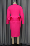 Rose Red Deep V Neck Long Sleeve Large Floral Applique Waist Cocktail Party Wedding Bodycon Peplum Midi Dress