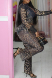 Brown Sexy Party Club Leopard Print Round Neck Long Sleeve Crop Tops and Straight Pants Two Pieces Sets
