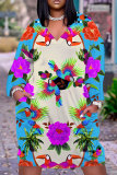 Blue Casual Outing Graphics Print Basic V Neck Long Sleeve Loose Pockets Midi Dress