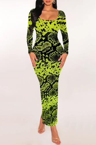 Green Snakeskin Print U Neck Long Sleeve Casual Outing Vacation Bodycon Maxi Dresses