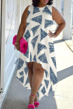 Black Blue Graphic Print Sleeveless O Neck High-Low Hem with Trailing Straight Loose Midi Dress