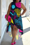 Black Blue Graphic Print Sleeveless O Neck High-Low Hem with Trailing Straight Loose Midi Dress
