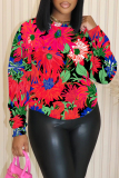 Khaki Casual Graphics Print O Neck Long Sleeve Fall Winter Sweatshirt