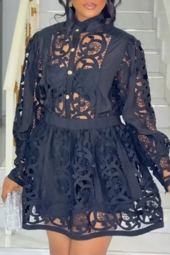 Black Casual Hollow Out Buttons See-Through Shirt Collar Long Sleeve Embroidered Blouse And Mini Skirt Two Pieces Dress Sets