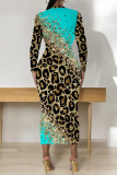 Casual Outing Snakeskin Leopard Print O Neck Long Sleeve Bodycon Maxi Dress