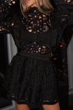 Black Casual Hollow Out Buttons See-Through Shirt Collar Long Sleeve Embroidered Blouse And Mini Skirt Two Pieces Dress Sets