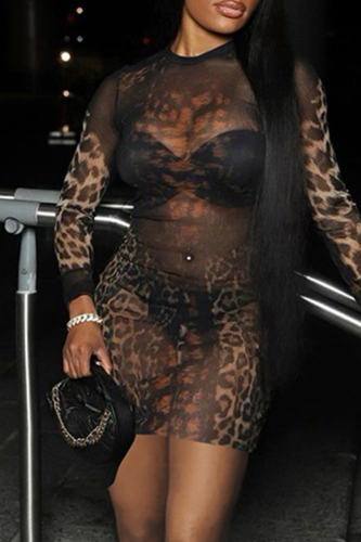 Leopard Print Mesh Sheer Patchwork O Neck Long Sleeve Wrapped Skirt Night Club Bodycon Mini Dresses