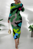 Orange Flowers Snakeskin Gradient Print O Neck Long Sleeve Casual Street Fall Outings Bodycon Pencil Midi Dress