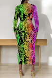 Orange Flowers Snakeskin Gradient Print O Neck Long Sleeve Casual Street Fall Outings Bodycon Pencil Midi Dress