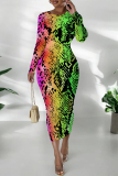 Orange Flowers Snakeskin Gradient Print O Neck Long Sleeve Casual Street Fall Outings Bodycon Pencil Midi Dress