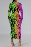 Orange Flowers Snakeskin Gradient Print O Neck Long Sleeve Casual Street Fall Outings Bodycon Pencil Midi Dress