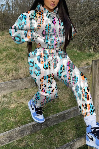 Light Cyan Floral Print Long Sleeve Hooded Sweatshirt and Skinny Pant Casual Sportwear Plus Size Two Pieces Jogger Sets