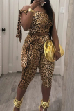 Leopard Print O Neck Belt Strap Design Crop Tops And Shorts Casual Outing Two Pieces Shorts Sets