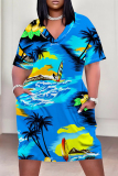 White Stripe Flowers Landscape Print V Neck Short Sleeve Long Casual Outing Straight Loose Plus Size Midi Dress with Pocket