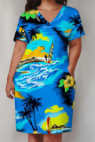 White Stripe Flowers Landscape Print V Neck Short Sleeve Long Casual Outing Straight Loose Plus Size Midi Dress with Pocket