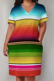 White Stripe Flowers Landscape Print V Neck Short Sleeve Long Casual Outing Straight Loose Plus Size Midi Dress with Pocket