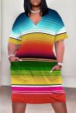White Stripe Flowers Landscape Print V Neck Short Sleeve Long Casual Outing Straight Loose Plus Size Midi Dress with Pocket