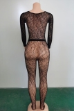 Black Long Sleeve See-Through Lace Lingerie