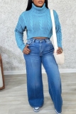 Blue Casual Turtleneck Long Sleeve Fall Crop Knitted Sweater