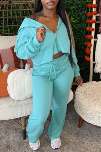 Sky Blue Zipper Long Sleeve Hooded Sweatshirt And Pants Casual Outing Two Pieces Jogger Sets