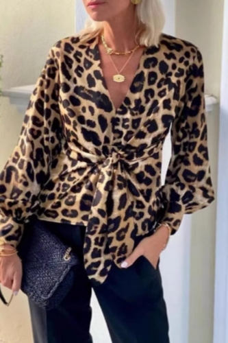 Multicolor Leopard Print V Neck Lantern Sleeve Front Knotted Casual Formal Office Lady Blouse