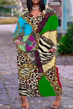 Leopard Snakeskin Print V Neck Long Sleeve Pocket Plus Size Baggy Straight Casual Outing Plus Size Maxi Dress