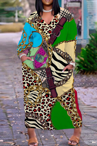 Leopard Snakeskin Print V Neck Long Sleeve Pocket Plus Size Baggy Straight Casual Outing Plus Size Maxi Dress