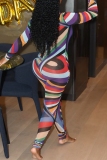 Multicolor Striped Print Turtleneck Mesh Long Sleeve Casual Skinny Jumpsuits One Piece Bodysuit