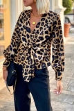 Multicolor Leopard Print V Neck Lantern Sleeve Front Knotted Casual Formal Office Lady Blouse