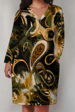 Blue Boho Newspaper Chain Print Pocket V Neck Long Sleeve Casual Outing Plus Size Midi Dresses