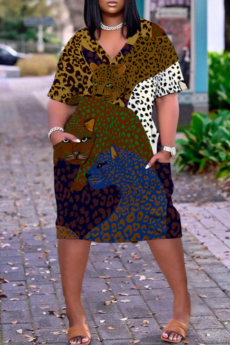 Red Green Graphics Print V Neck Short Sleeve Pocket Casual Loose Straight Midi Dresses