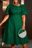 Green 3D Flower Decor Jacquard Zipper Asymmetric Collar Puff Sleeve A Line Pleated Midi Dresses