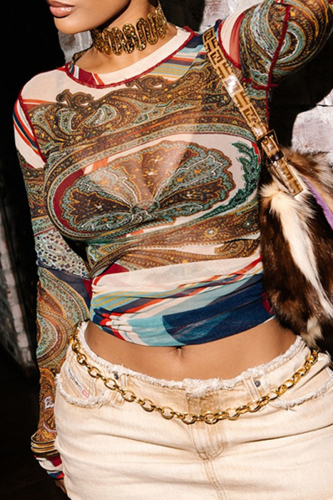 Brown Casual Boho Graphics Print O Neck Long Sleeve Mesh Crop Tops