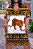 Multicolor Graphcics Print V Neck Short Sleeve Loose Pockets Casual Outing Midi T-Shirt Dress