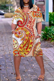 Brown Graphics Print V Neck Long Sleeve Plus Size Loose Pockets Casual Outing Midi T-Shirt Dress