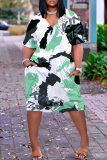 Brown Graphics Print V Neck Long Sleeve Plus Size Loose Pockets Casual Outing Midi T-Shirt Dress