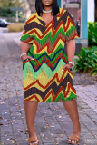 White Graphics Print V Neck Long Sleeve Plus Size Loose Pockets Casual Outing Midi T-Shirt Dress