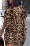 Brown Leopard Print O Neck Short Sleeve Oversize T Shirt And Shorts Set Casual Sportwear Plus Size Two Piece Matching Set