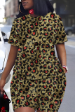 Brown Leopard Print O Neck Short Sleeve Oversize T Shirt And Shorts Set Casual Sportwear Plus Size Two Piece Matching Set