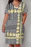 White Gold Casual Stripe Plaid Chain Print Basic V Neck Long Sleeve Loose Pockets Straight Midi T-Shirt Dress