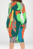 Leopard Camouflage Print V Neck Long Sleeve Casual Outing Bodycon Pencil Midi Dress