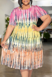 Light Purple Floral Polka Dot Stripe Print O Neck Short Sleeve Ruffle Hem Casual Vacation Plus Size Midi T-shirt Dresses