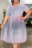 Light Purple Floral Polka Dot Stripe Print O Neck Short Sleeve Ruffle Hem Casual Vacation Plus Size Midi T-shirt Dresses