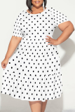 Light Purple Floral Polka Dot Stripe Print O Neck Short Sleeve Ruffle Hem Casual Vacation Plus Size Midi T-shirt Dresses