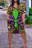 Leopard Graphics Print V Neck Long Sleeve Loose Pockets Casual Plus Size Straight Midi T-Shirt Dress