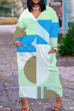 Snakeskin Geometric Print V Neck Long Sleeve Casual Outing Plus Size Straight Loose Maxi Dress