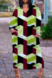 Snakeskin Geometric Print V Neck Long Sleeve Casual Outing Plus Size Straight Loose Maxi Dress