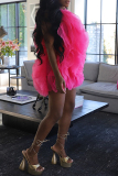 Rose Red Sleeveless O Neck Ruffle Hem Mesh Tulle Ball Gown Party Mini Dress