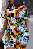 Multicolor Casual Floral Print Skinny Round Neck Short Sleeve T-shirt And Shorts Two Pieces Matching Sets